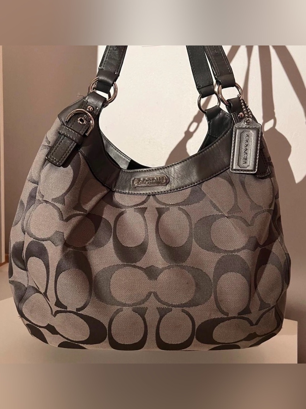 Coach greg signature leather Hobo bag